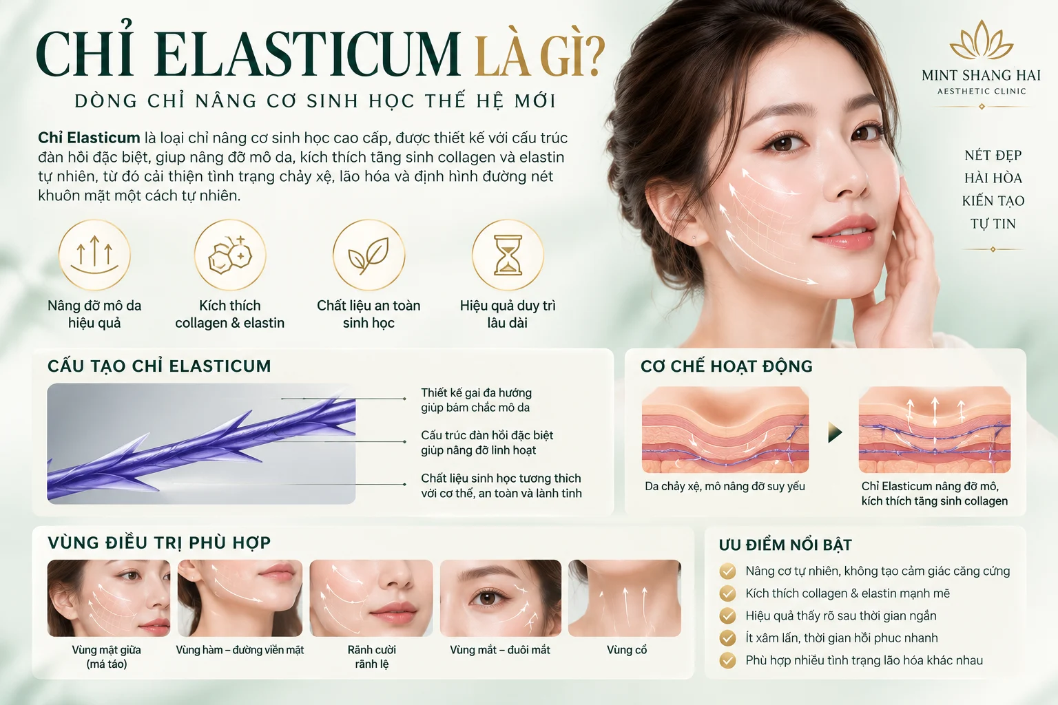 Chỉ Elasticum là gì: vật liệu không tự tiêu.