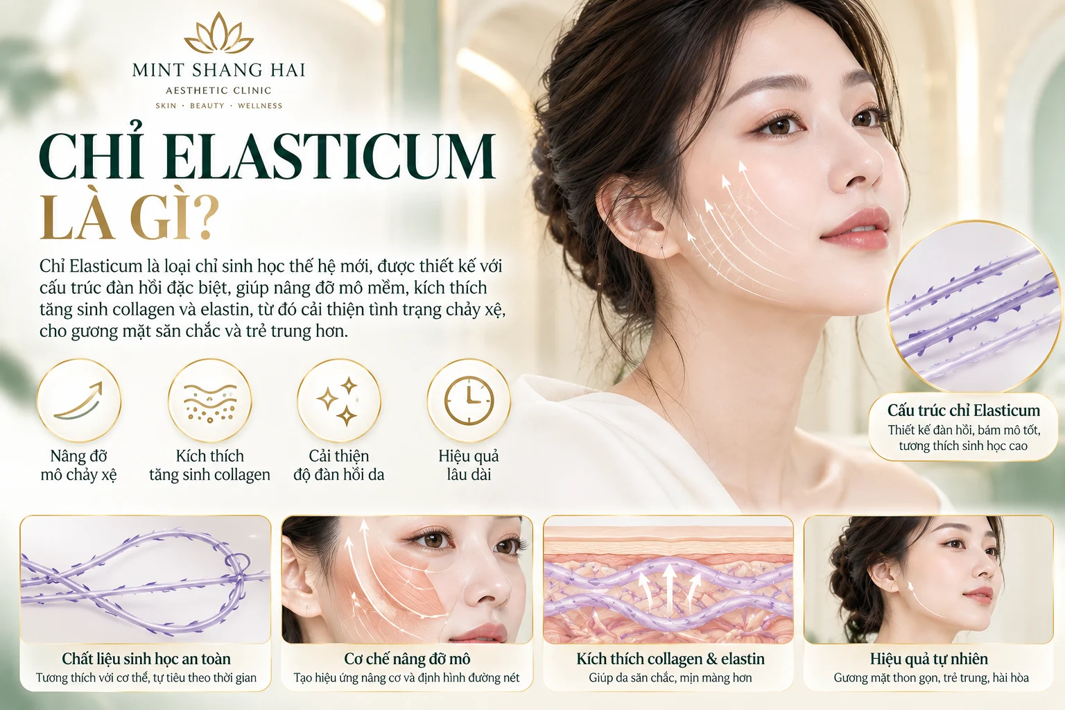 Chỉ Elasticum là gì: phạm vi tư vấn.