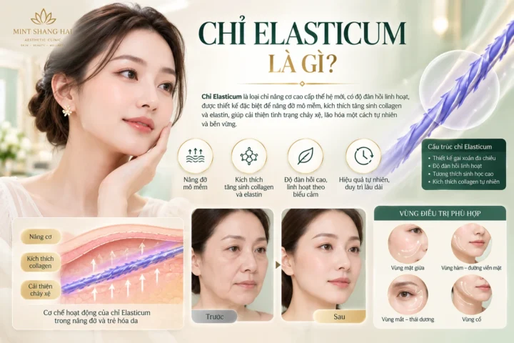 chỉ elasticum là gì - hình ảnh 5